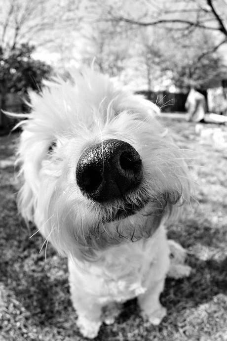 San Viernes breaking rules