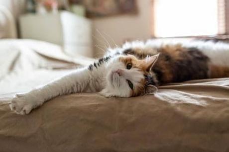 San Viernes breaking rules