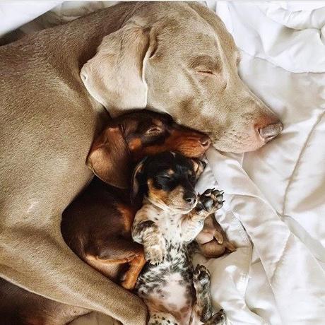 San Viernes breaking rules