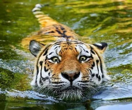 San Viernes breaking rules