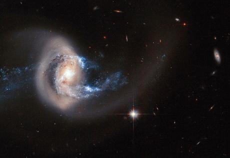 Pasarelas de estrellas