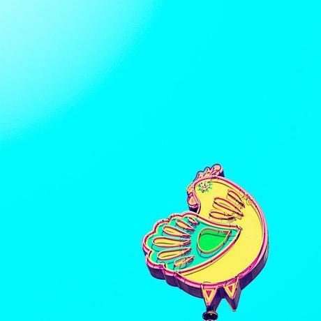 fotografía, Matt Crump