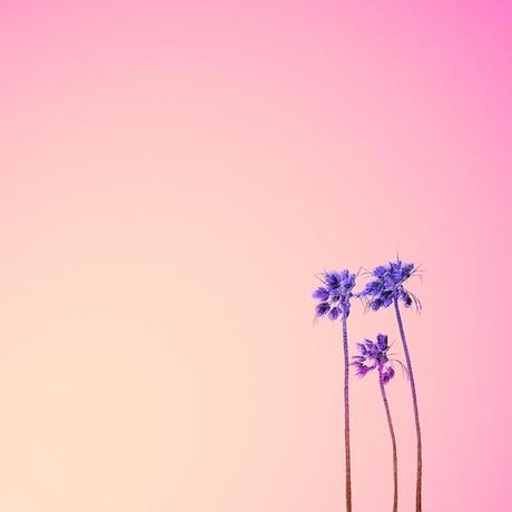 fotografía, Matt Crump