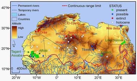 La increíble supervivencia de los cocodrilos del desierto