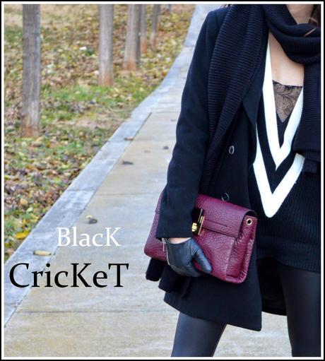 http://lookfortime.blogspot.com.es/2015/01/black-cricket.html