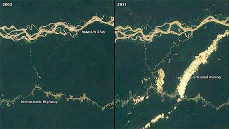6 impresionantes imágenes que muestran la gran deforestación