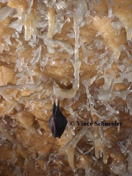 Finalistas del V Concurso Internacional de Fotografía