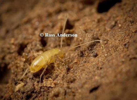Finalistas del V Concurso Internacional de Fotografía