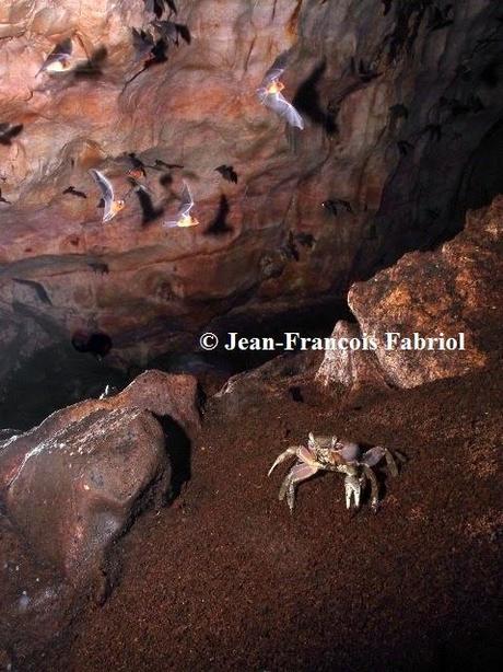 Finalistas del V Concurso Internacional de Fotografía