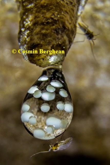 Finalistas del V Concurso Internacional de Fotografía