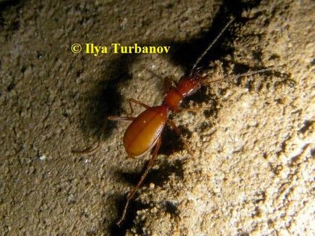 Finalistas del V Concurso Internacional de Fotografía