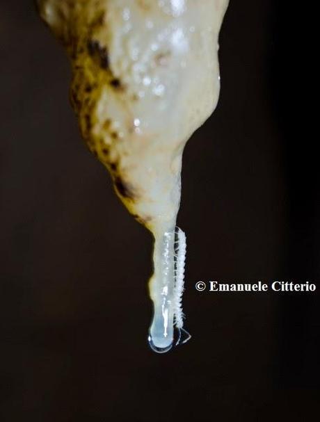 Finalistas del V Concurso Internacional de Fotografía