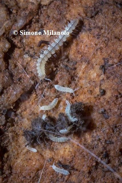 Finalistas del V Concurso Internacional de Fotografía