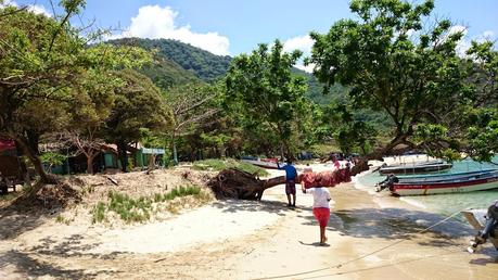PARQUE NACIONAL NATURAL TAYRONA – COLOMBIA.