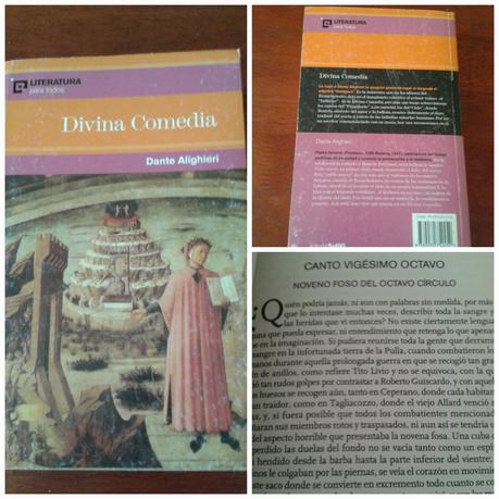 Torre de libros de DICIEMBRE Y ENERO (Book haul)