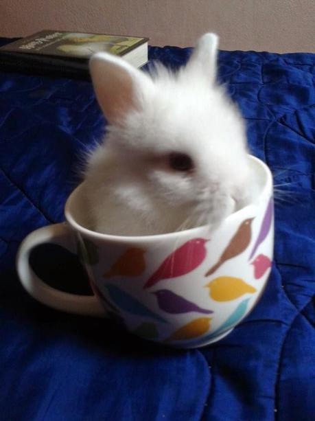 Torre de libros de DICIEMBRE Y ENERO (Book haul)