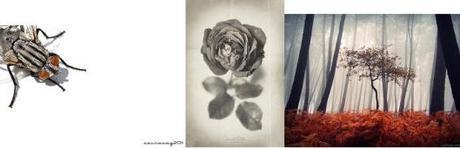 Ganadores a los 4 días