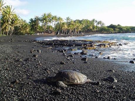 Agarra las maletas: Hawaii Agarra las maletas: Hawaii