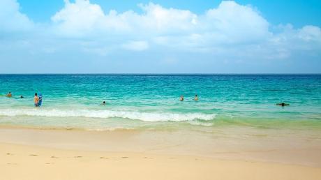 Agarra las maletas: Hawaii Agarra las maletas: Hawaii