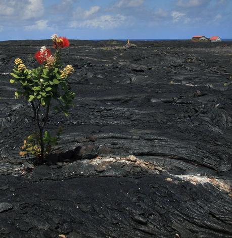 Agarra las maletas: Hawaii