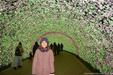 Nabana no Sato (Nagashima Resort) Iluminación navideña