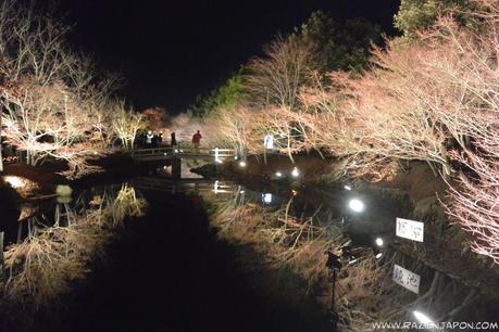 Nabana no Sato (Nagashima Resort) Iluminación navideña
