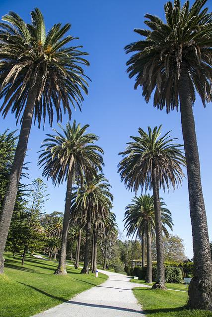 Parque de Mataleñas, Santander