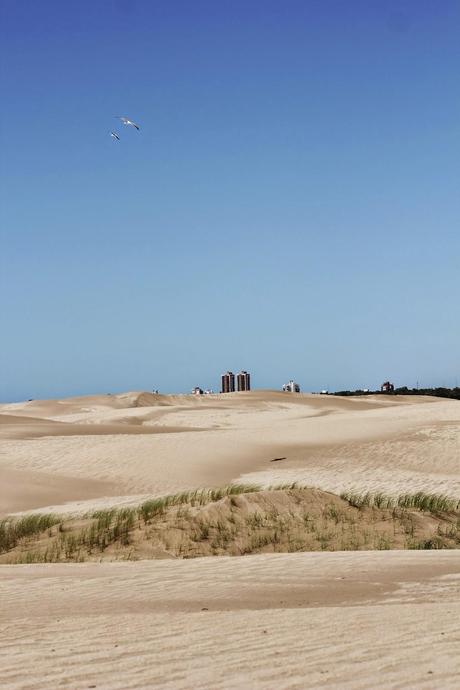 Travesía en Cuatriciclos. Villa Gesell-Cariló Parte I