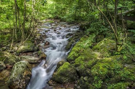 EL GUARDIÁN INVISIBLE