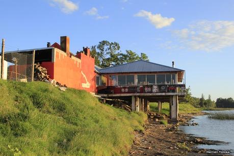 Golondrinas en Puesta del Sol