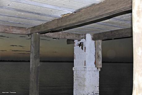 Golondrinas en Puesta del Sol