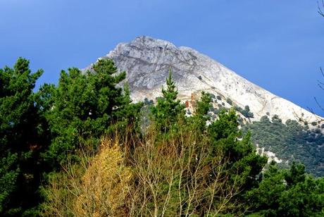 LAS 10 PREGUNTAS QUE CUALQUIER EMPRESARIO O EMPRENDEDOR DEBERÍA HACERSE