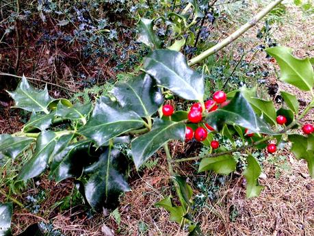 ¿DISTINGUES UNA GRIPE DE UN RESFRIADO?  6 TIPS PARA QUE NO TENGAS NINGUNA DUDA