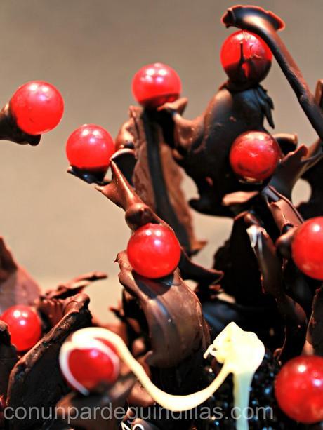 Bosque de chocolate y frutos rojos