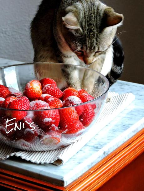 ¡ Mamaliga o  Pan de maíz !