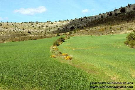 sierra de costalago