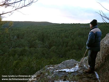 pinar de Espeja en invierno