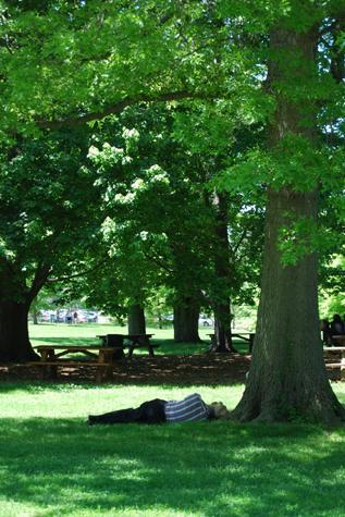 COSAS QUE ECHAS DE MENOS SIN DARTE CUENTA