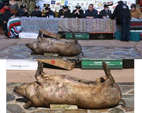 Matanza típica Guijuelo 2015