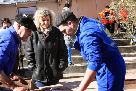 Matanza típica Guijuelo 2015
