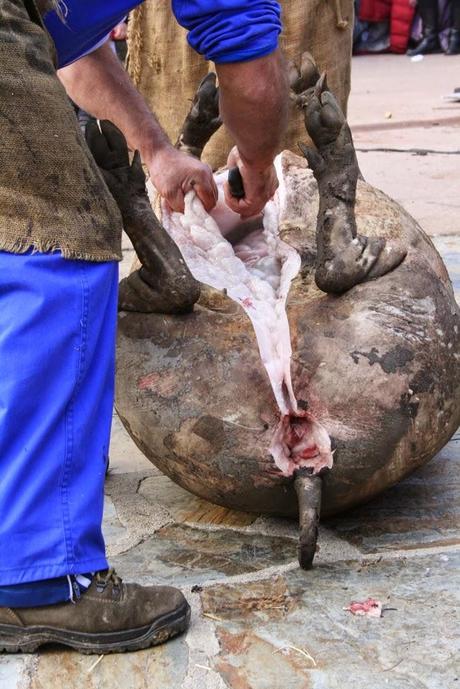 Matanza típica Guijuelo 2015