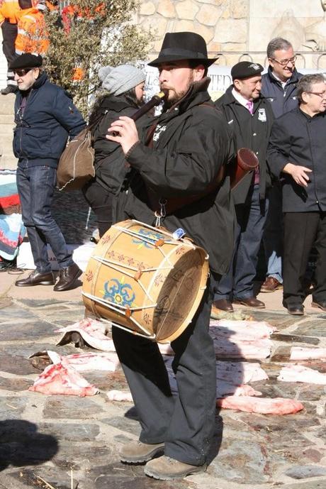 Matanza típica Guijuelo 2015