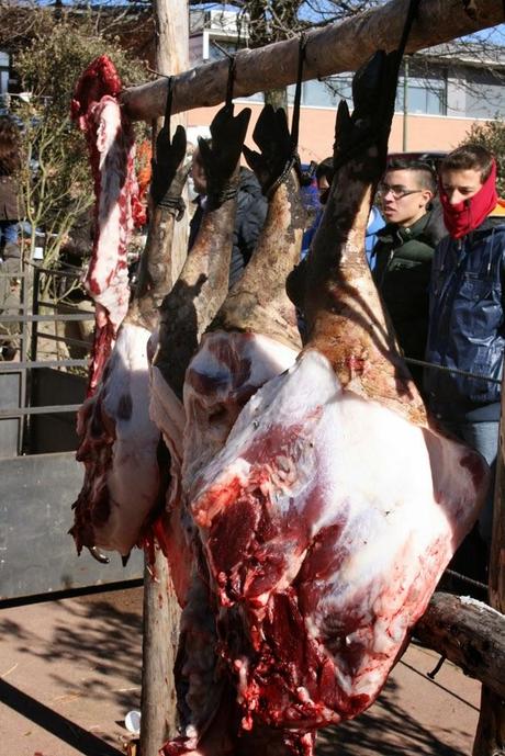 Matanza típica Guijuelo 2015