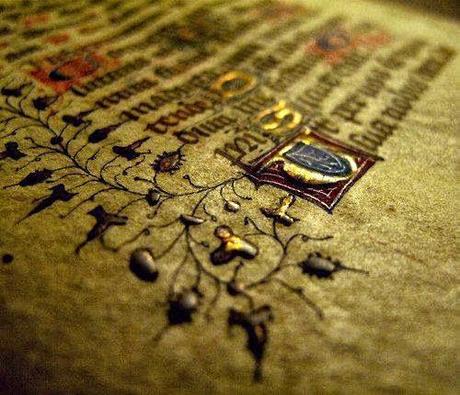 SOMOS PARTE DEL PUZLE DE LA VIDA...