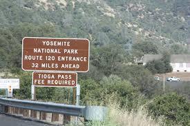 Para encontrar el verdadero camino, a veces tienes que perderte… (Reseña)