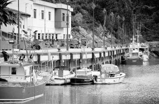 12 MANDAMIENTOS Y NANOS 12 MANDAMIENTOS Y NANOS