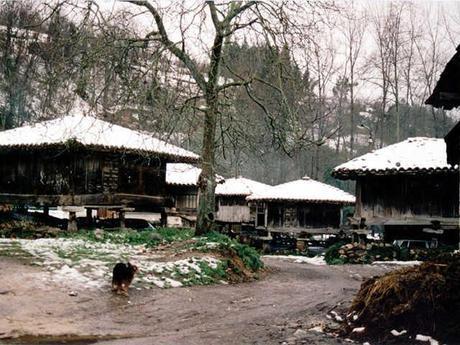 12 MANDAMIENTOS Y NANOS 12 MANDAMIENTOS Y NANOS