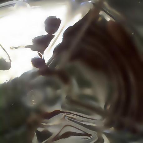 Nuevo año, nuevo tema para el blog