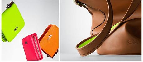 Colección Neon C.O.A.C.H