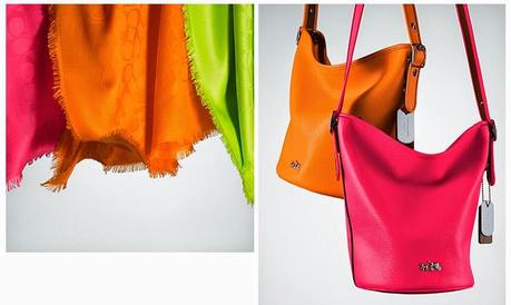 Colección Neon C.O.A.C.H